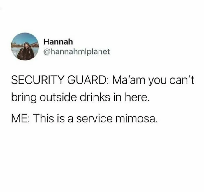 Hilarious meme: Security guard stops woman with a drink; she claims it's a "service mimosa."