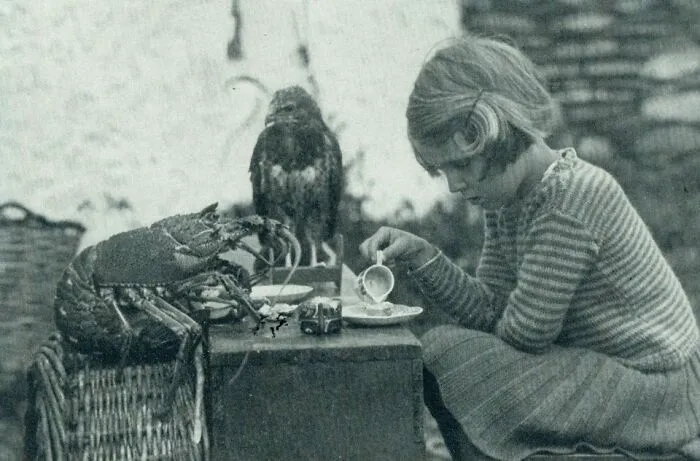 Ann Lockley Taking Tea With A Baby Hawk And A Lobster. Ann Lived On The Island Of Skokholm, Where Her Family Were The Only Inhabitants And Animals Were Pals. This Photo Was Taken For A 1938 National Geographic Story ‘We Live Alone And Like It — On An Island’