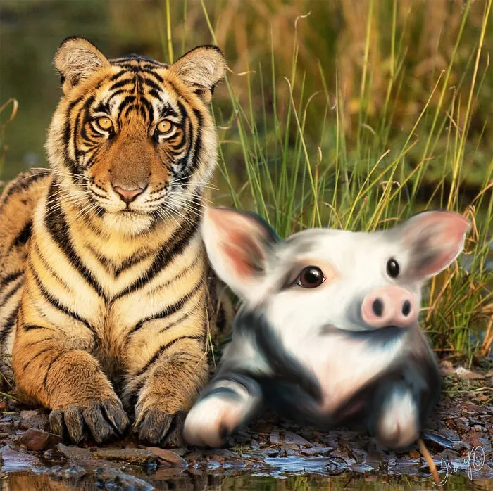 Unlikely Buddies