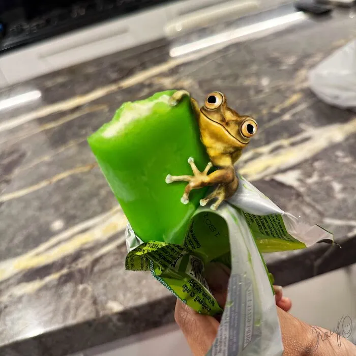 Frog-Sicle