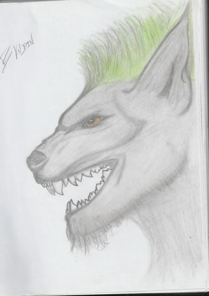 Punk Wolf