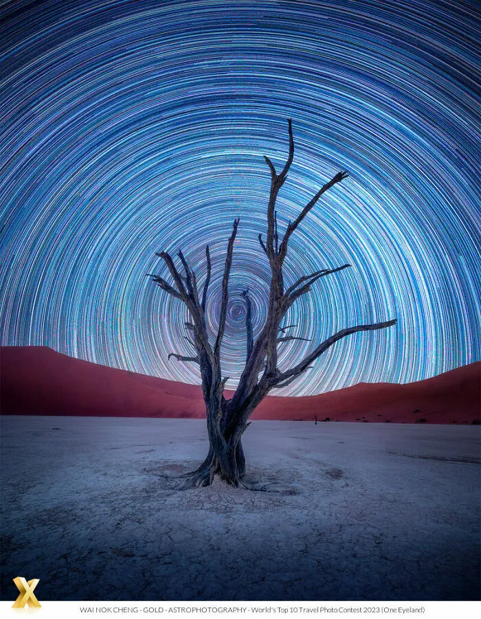 "Night Loner" By Wai Nok Cheng