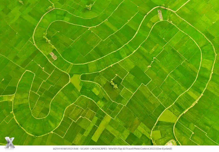 "Green Fields" By Azim Khan Ronnie