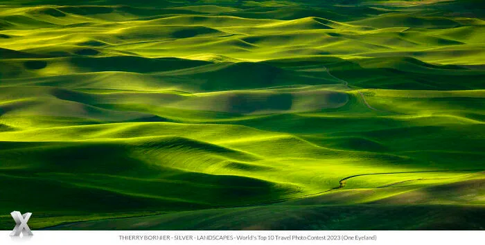 "Green Waves" By Thierry Bornier