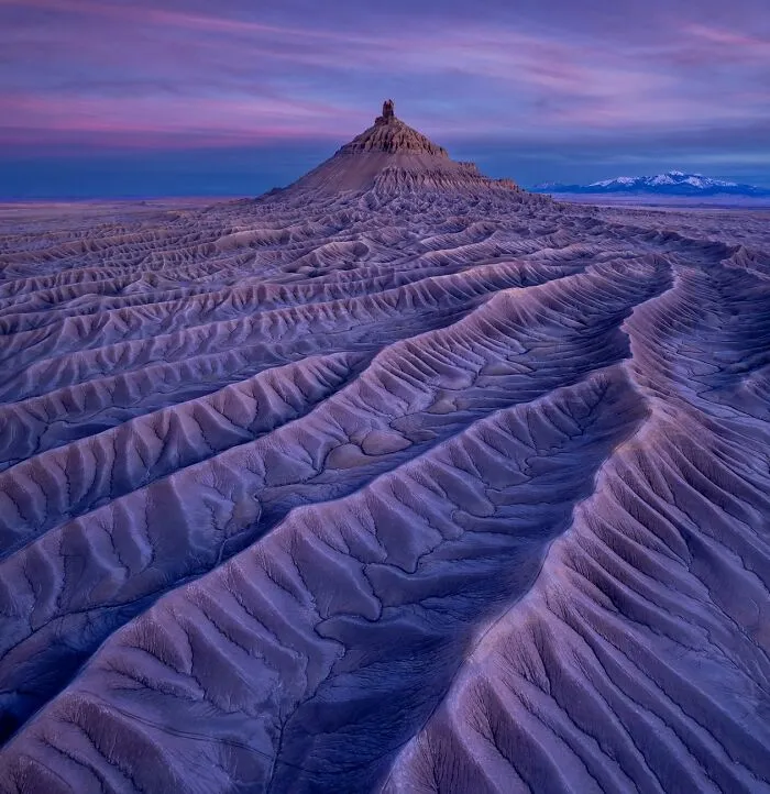 “Ground Vein” By Xiaoying Shi (China)