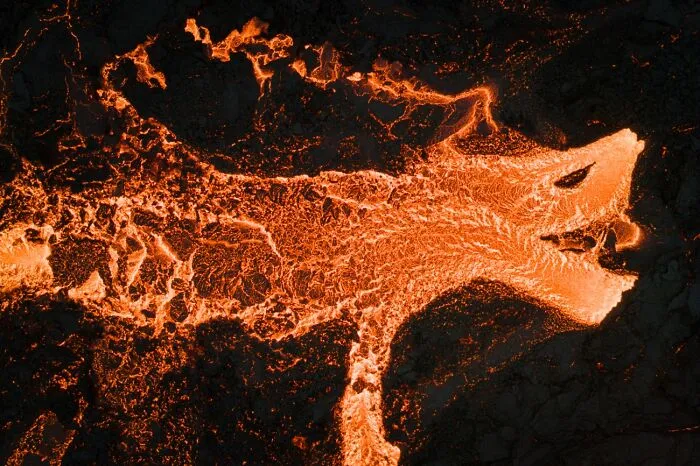 “Elddreki / Fire Dragon” By Jeroen Van Nieuwenhove (Belgium)