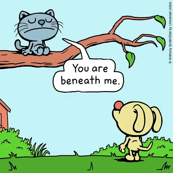 “Cattitude”: Artist Purrfectly Illustrates What Having A Cat Is Like (30 New One-Panel Comics)