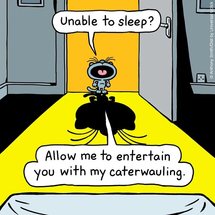 “Cattitude”: Artist Purrfectly Illustrates What Having A Cat Is Like (30 New One-Panel Comics)