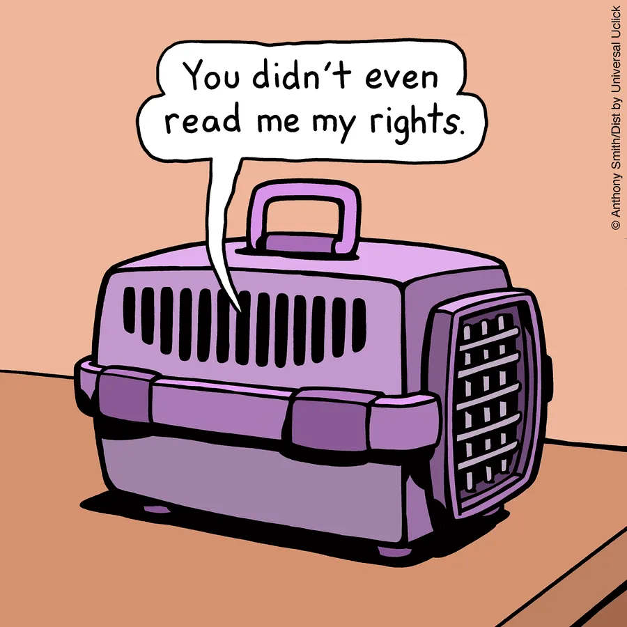 “Cattitude”: Artist Purrfectly Illustrates What Having A Cat Is Like (30 New One-Panel Comics)