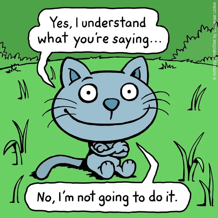 “Cattitude”: Artist Purrfectly Illustrates What Having A Cat Is Like (30 New One-Panel Comics)