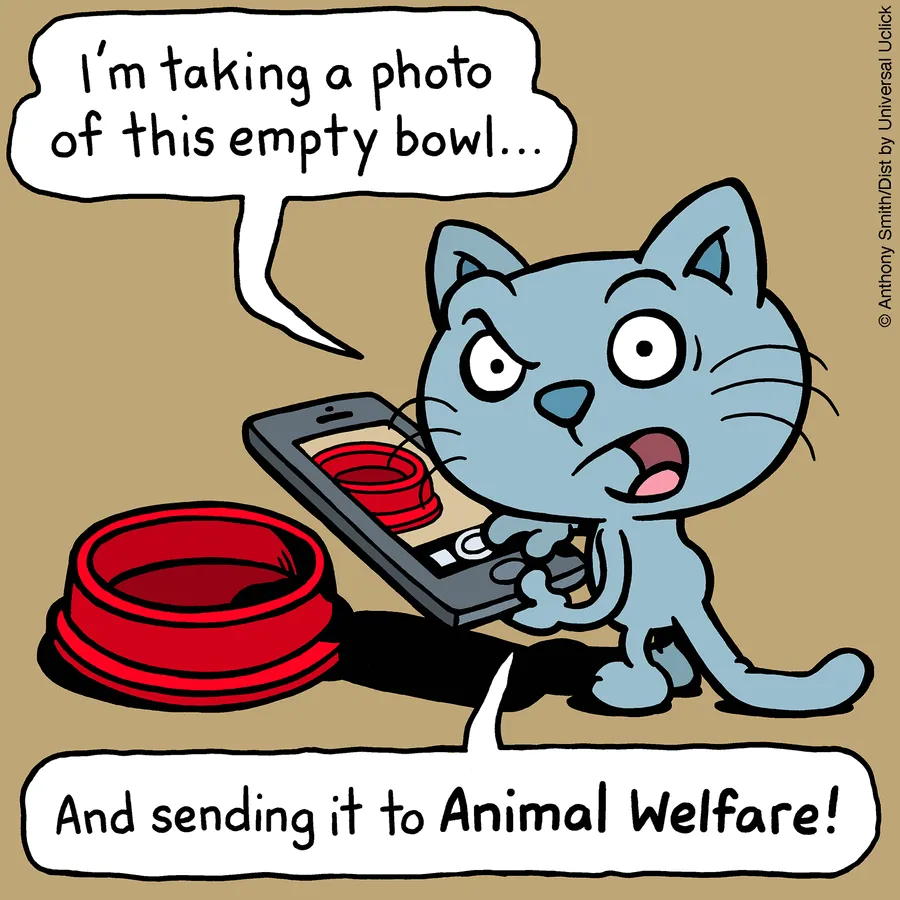 “Cattitude”: Artist Purrfectly Illustrates What Having A Cat Is Like (30 New One-Panel Comics)