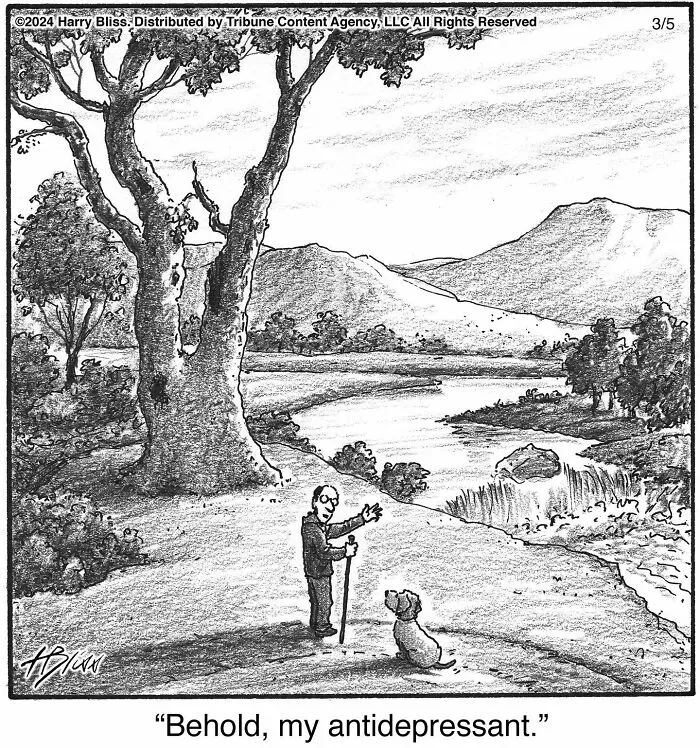 40 Wholesome And Humorous One-Panel Comics By Harry Bliss (New Pics)
