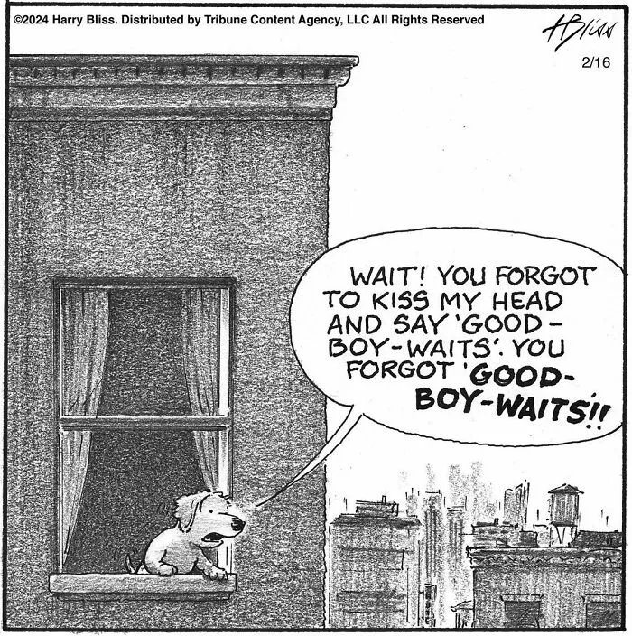 40 Wholesome And Humorous One-Panel Comics By Harry Bliss (New Pics)
