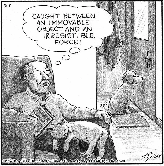 40 Wholesome And Humorous One-Panel Comics By Harry Bliss (New Pics)