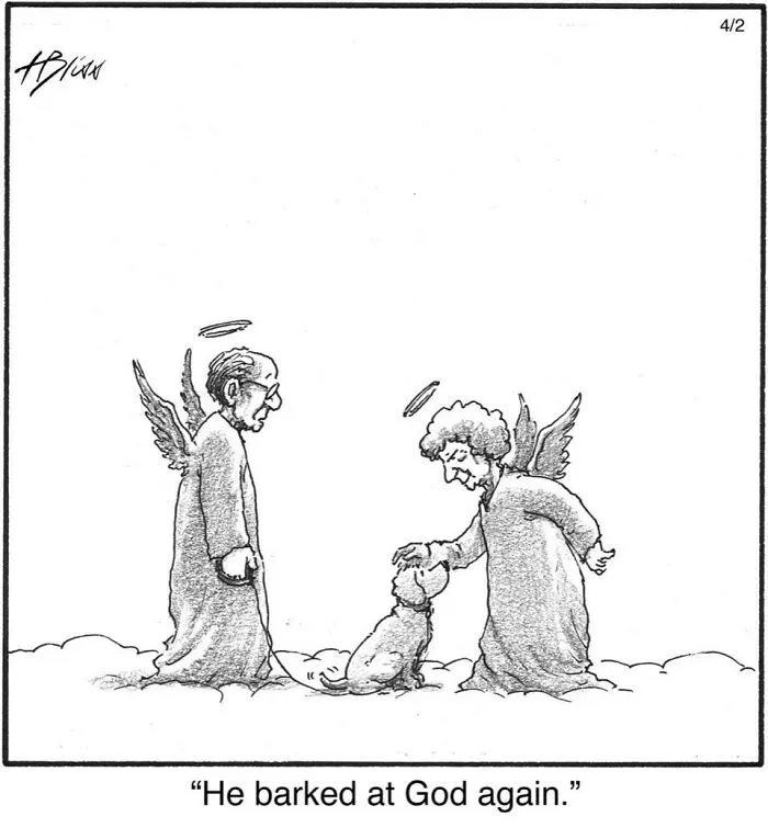 40 Wholesome And Humorous One-Panel Comics By Harry Bliss (New Pics)