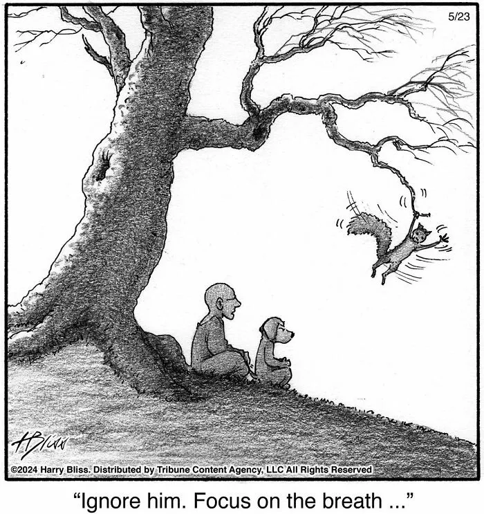 40 Wholesome And Humorous One-Panel Comics By Harry Bliss (New Pics)