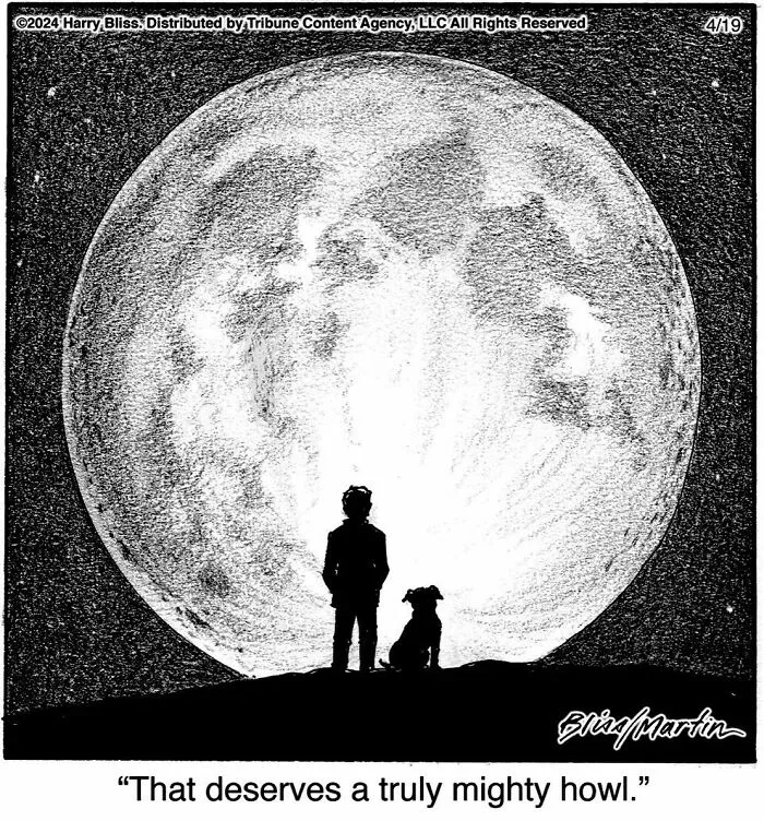 40 Wholesome And Humorous One-Panel Comics By Harry Bliss (New Pics)