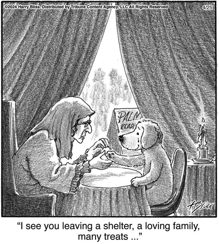 40 Wholesome And Humorous One-Panel Comics By Harry Bliss (New Pics)
