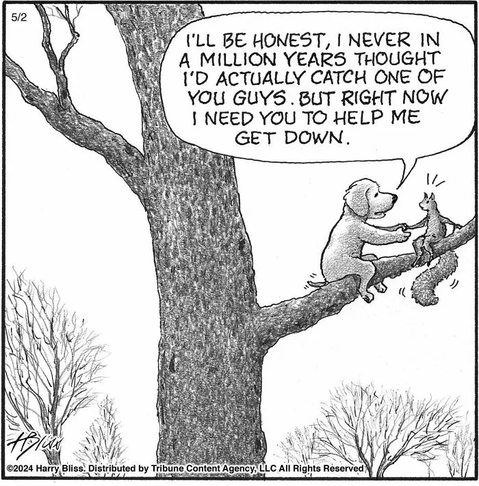 40 Wholesome And Humorous One-Panel Comics By Harry Bliss (New Pics)