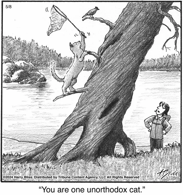 40 Wholesome And Humorous One-Panel Comics By Harry Bliss (New Pics)