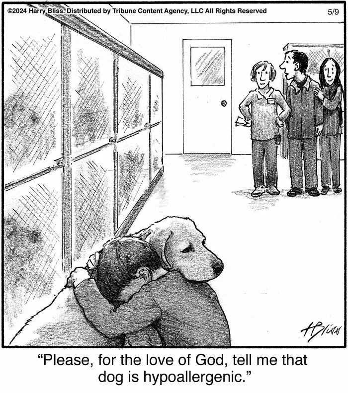 40 Wholesome And Humorous One-Panel Comics By Harry Bliss (New Pics)