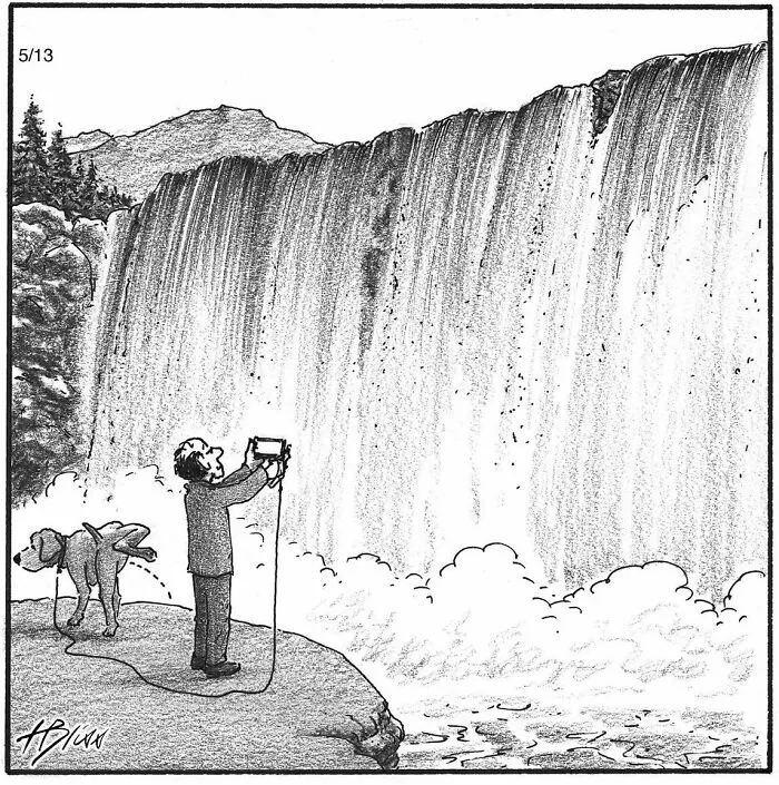 40 Wholesome And Humorous One-Panel Comics By Harry Bliss (New Pics)