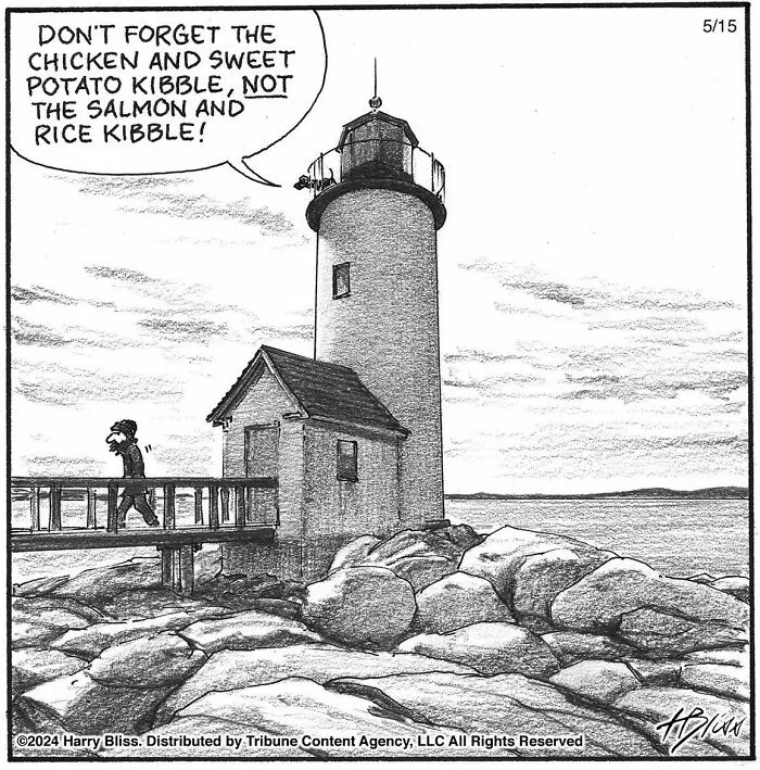 40 Wholesome And Humorous One-Panel Comics By Harry Bliss (New Pics)