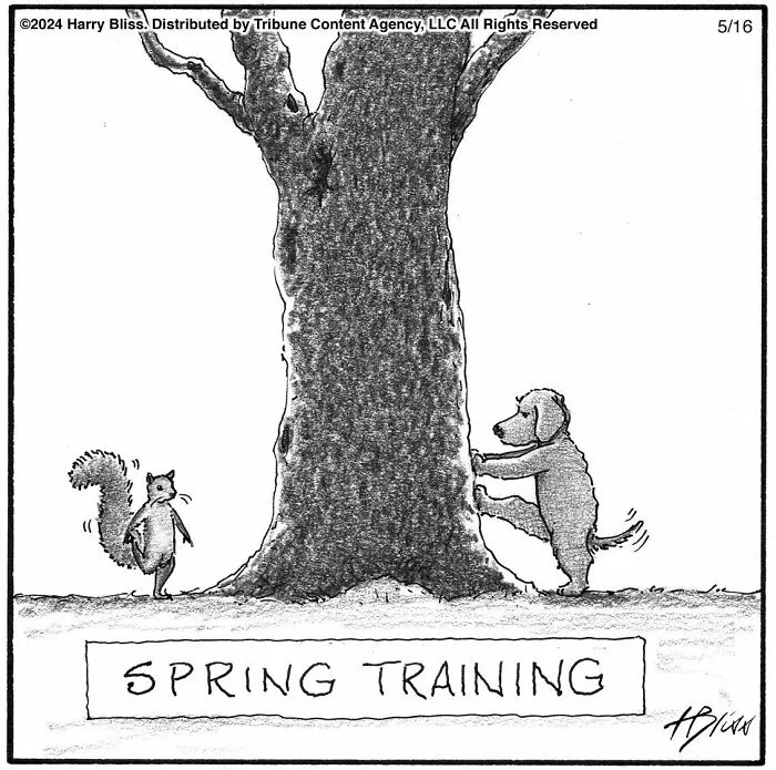 40 Wholesome And Humorous One-Panel Comics By Harry Bliss (New Pics)