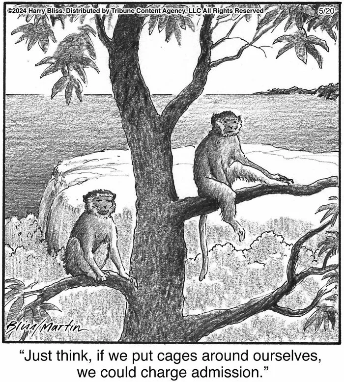40 Wholesome And Humorous One-Panel Comics By Harry Bliss (New Pics)