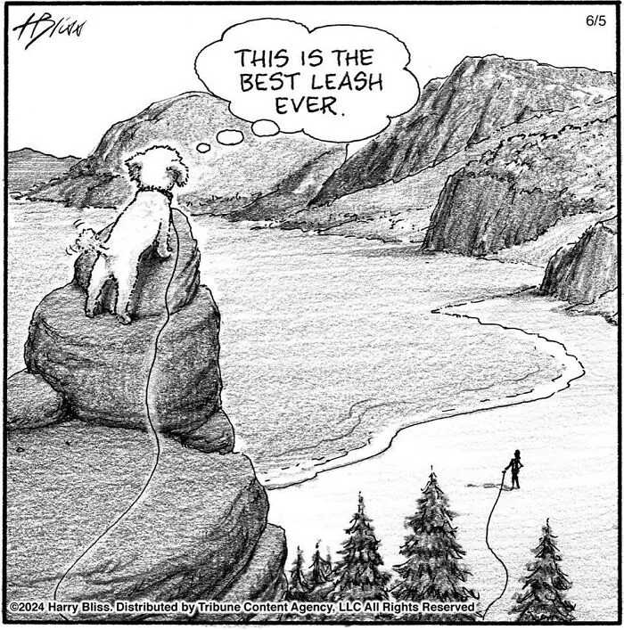 40 Wholesome And Humorous One-Panel Comics By Harry Bliss (New Pics)