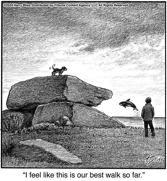 40 Wholesome And Humorous One-Panel Comics By Harry Bliss (New Pics)