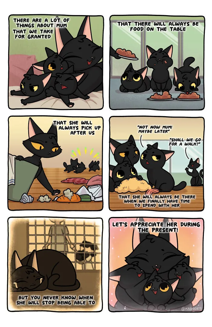 Artist Brings Awareness To Foster Care And Other Issues Through Cat Comics (35 Pics)