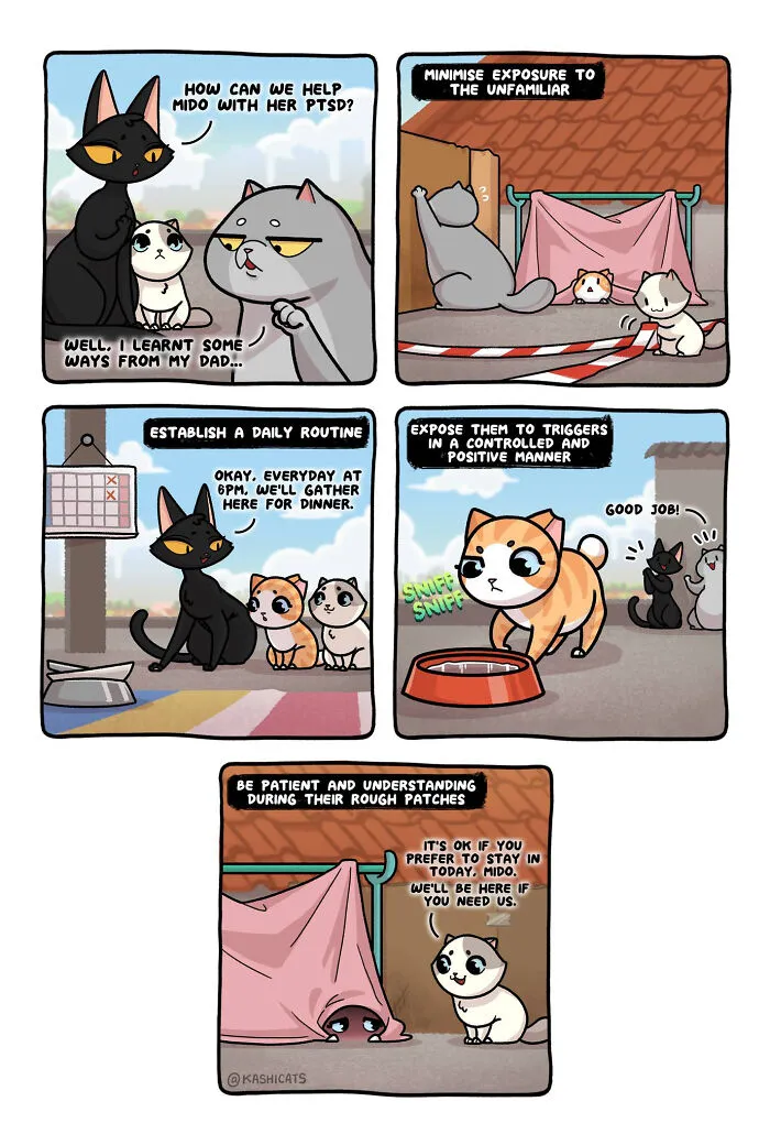 Artist Brings Awareness To Foster Care And Other Issues Through Cat Comics (35 Pics)