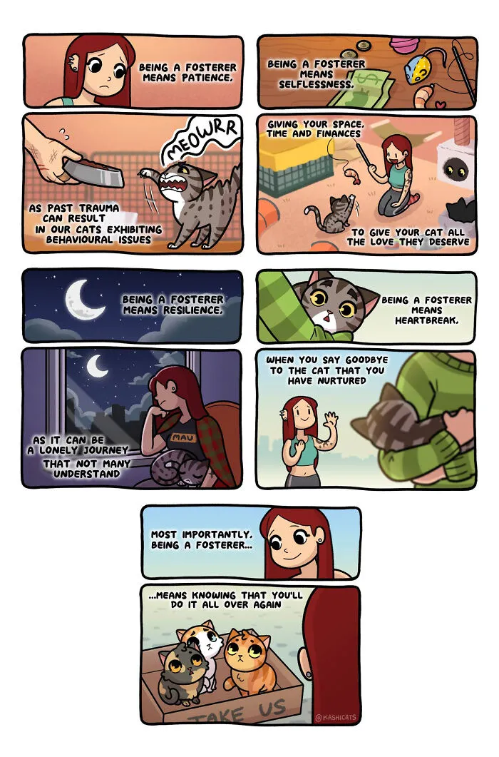 Artist Brings Awareness To Foster Care And Other Issues Through Cat Comics (35 Pics)
