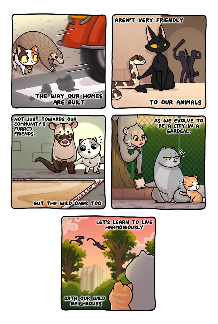 Artist Brings Awareness To Foster Care And Other Issues Through Cat Comics (35 Pics)