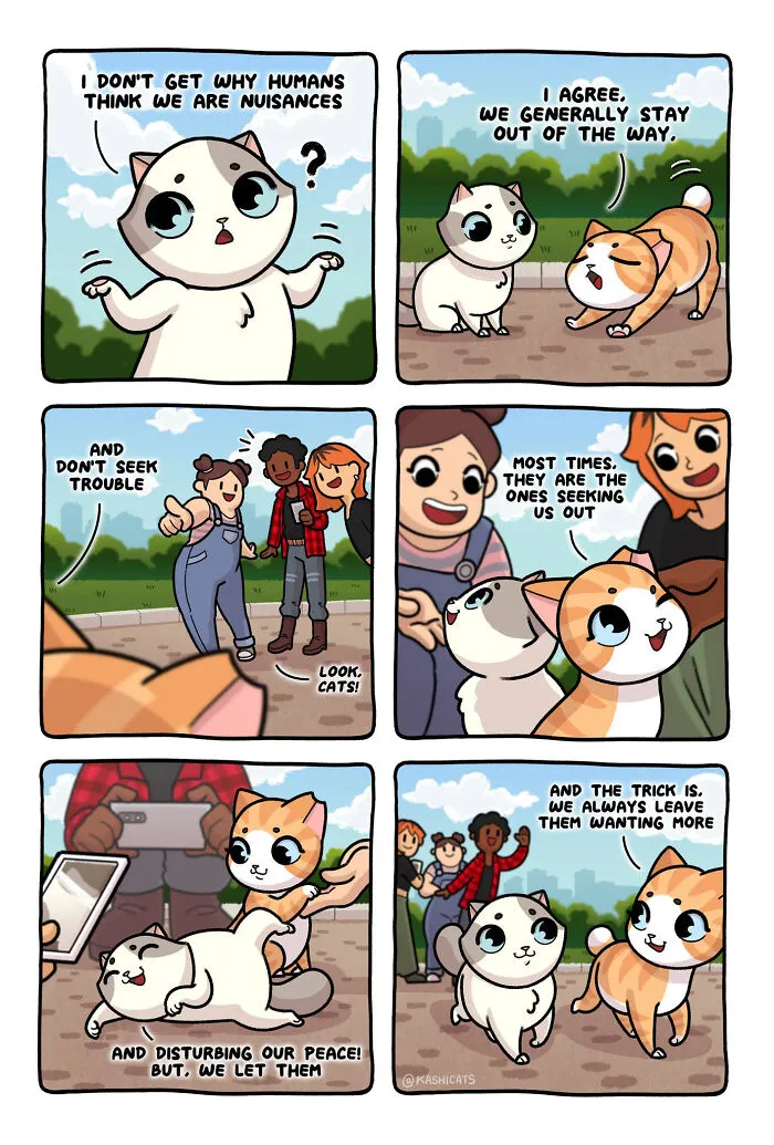 Artist Brings Awareness To Foster Care And Other Issues Through Cat Comics (35 Pics)