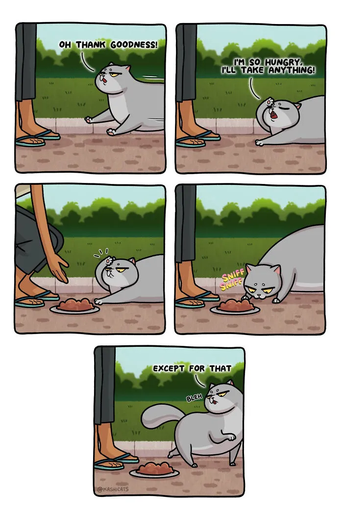 Artist Brings Awareness To Foster Care And Other Issues Through Cat Comics (35 Pics)