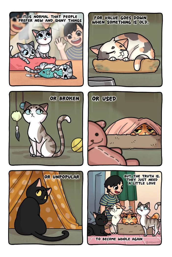 Artist Brings Awareness To Foster Care And Other Issues Through Cat Comics (35 Pics)