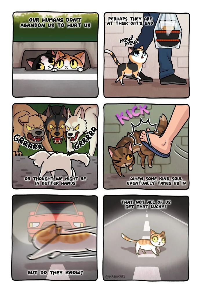 Artist Brings Awareness To Foster Care And Other Issues Through Cat Comics (35 Pics)