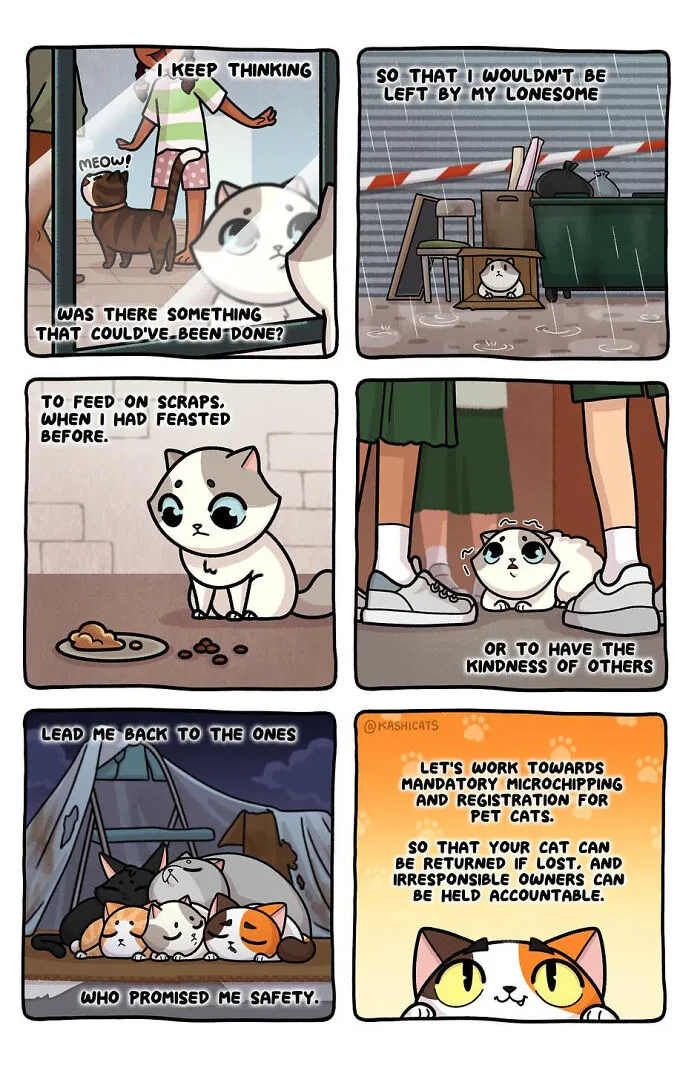 Artist Brings Awareness To Foster Care And Other Issues Through Cat Comics (35 Pics)
