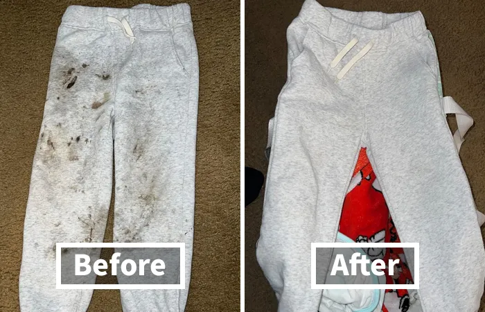  With Its Plant-Based Formula, <a Style="Display:inline;" Href="Https://Www.amazon.com/Puracy-Remover-Clothing-Enzyme-Based-Plant-Powered/Dp/B09xfh11kj?ie=utf8&linkcode=ll1&tag=bpfox-20&linkid=23d61f689c05b3bd4ae7e2cf7c52f463&language=en_us&ref_=as_li_ss_tl" Target="_blank"><span Style="Font: Inherit; Color: #d74b1f;"> Puracy Stain Remover</Span> Is Tough On Stains, Gentle On Fabrics