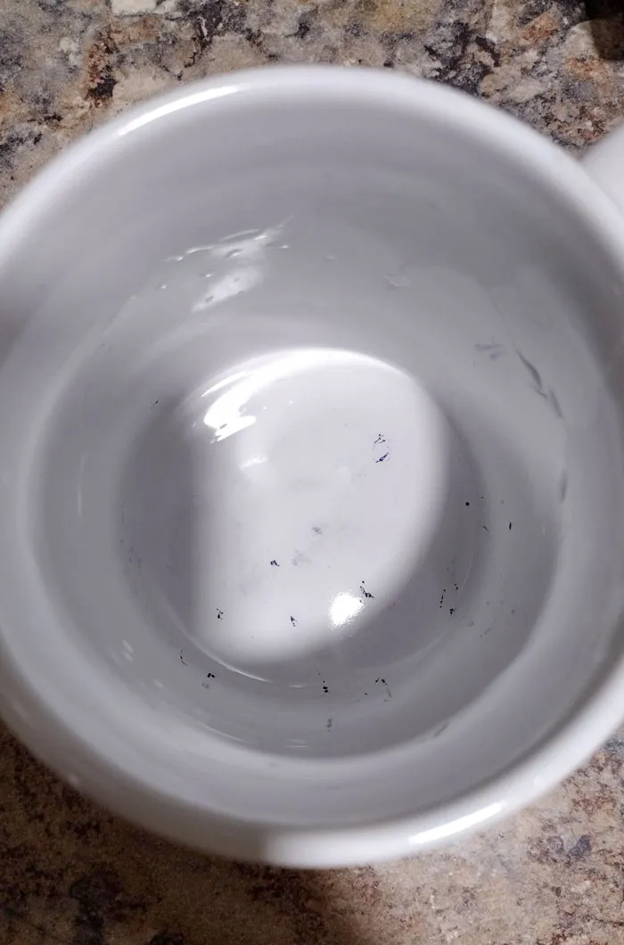Mis compañeros de trabajo usaron mi taza como portalápices durante mi ausencia