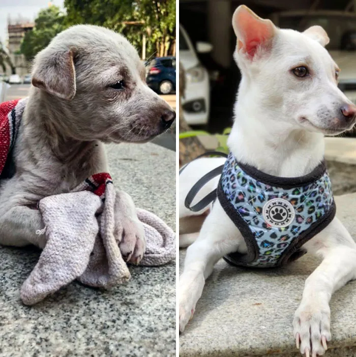 Because Adoption Matters