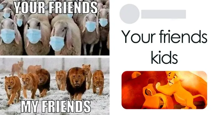 50 Of The Most Savage Responses People Had To Jerks (Best Of All Time)