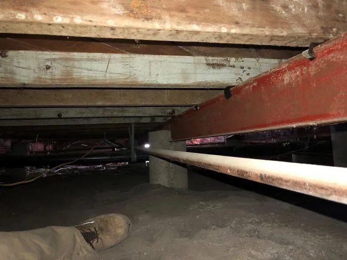 50 Horrifying Things Workers Saw During Structural Inspections (Best Of All Time)