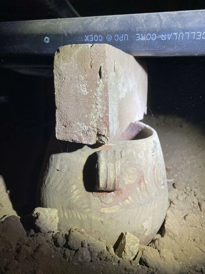 50 Horrifying Things Workers Saw During Structural Inspections (Best Of All Time)