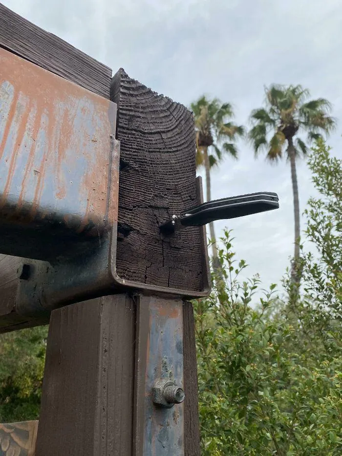 50 Horrifying Things Workers Saw During Structural Inspections (Best Of All Time)
