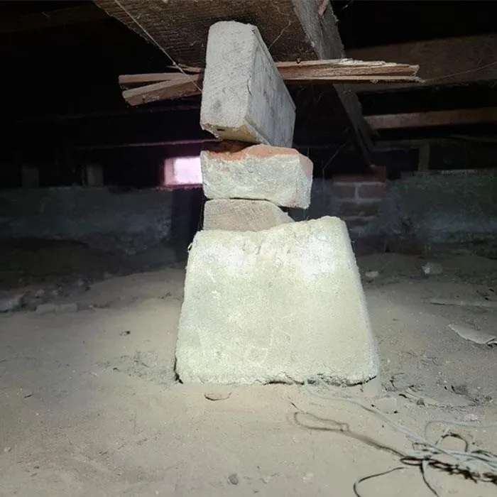 50 Horrifying Things Workers Saw During Structural Inspections (Best Of All Time)