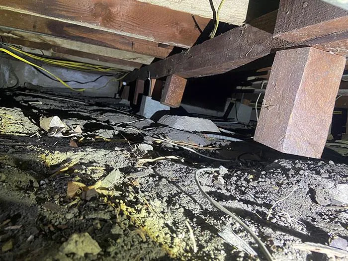 50 Horrifying Things Workers Saw During Structural Inspections (Best Of All Time)