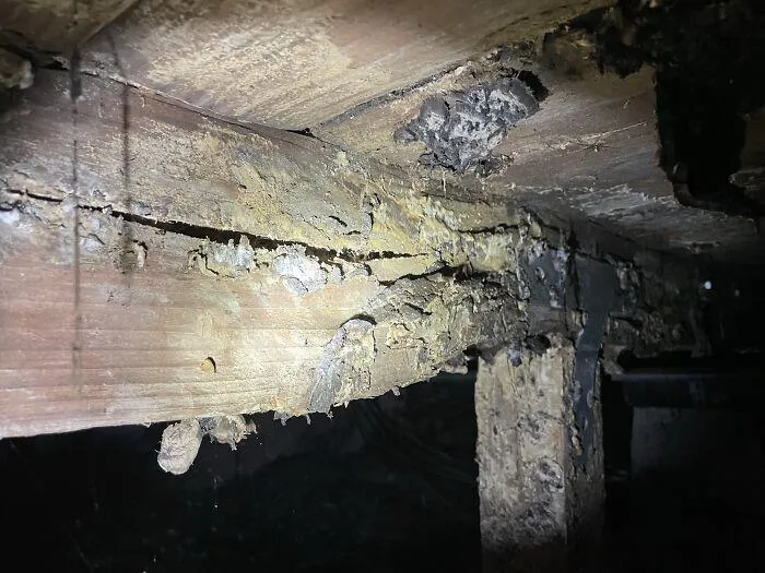 50 Horrifying Things Workers Saw During Structural Inspections (Best Of All Time)